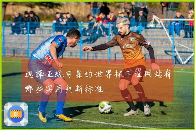 选择正规可靠的世界杯下注网站有哪些实用判断标准