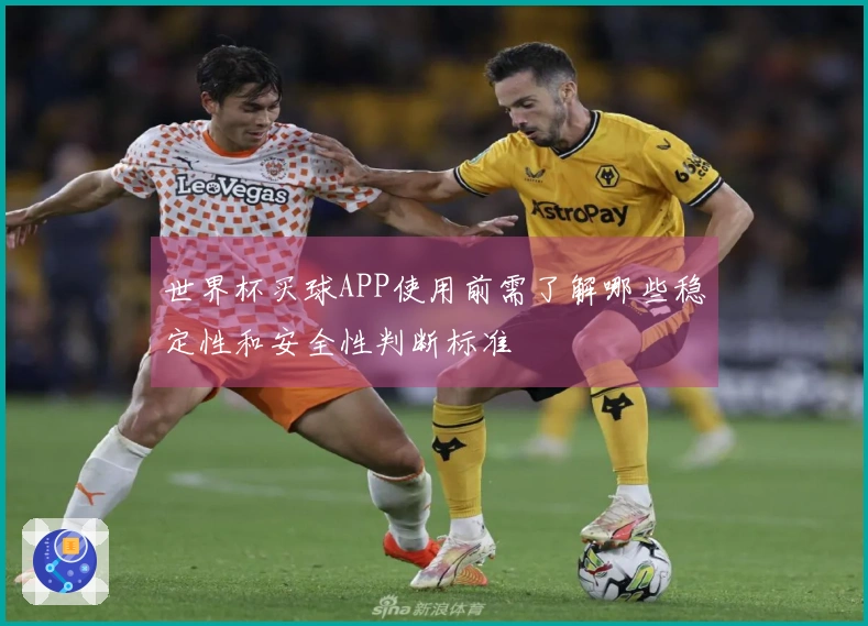世界杯买球APP使用前需了解哪些稳定性和安全性判断标准