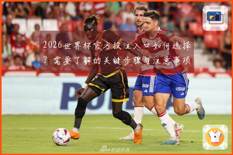 2026世界杯官方投注入口如何选择？需要了解的关键步骤与注意事项