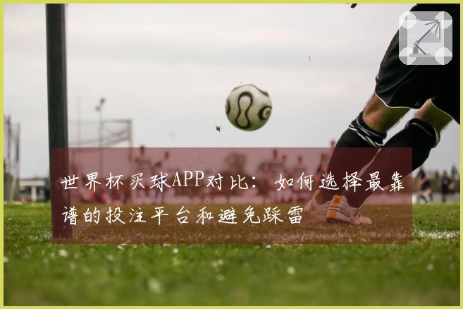 世界杯买球APP对比：如何选择最靠谱的投注平台和避免踩雷