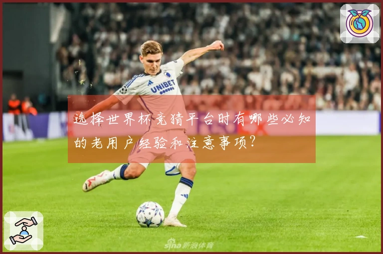 选择世界杯竞猜平台时有哪些必知的老用户经验和注意事项？