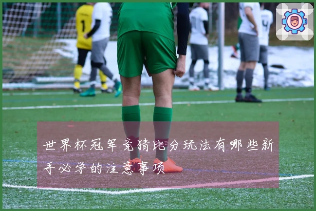 世界杯冠军竞猜比分玩法有哪些新手必学的注意事项